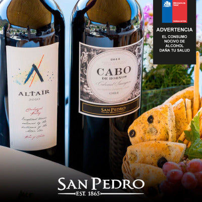 Tour Trío Cachapoal Andes en Viña San Pedro Nuevo