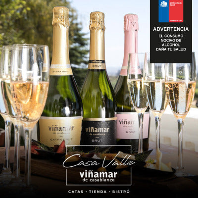 Experiencia Enoturismo: Visita y degustación Viñamar Ultra Premium.Valle de Casablanca. Casa Valle Viñamar