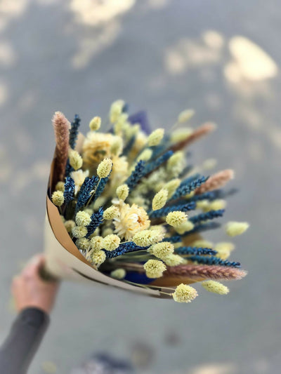 ramo indigo II