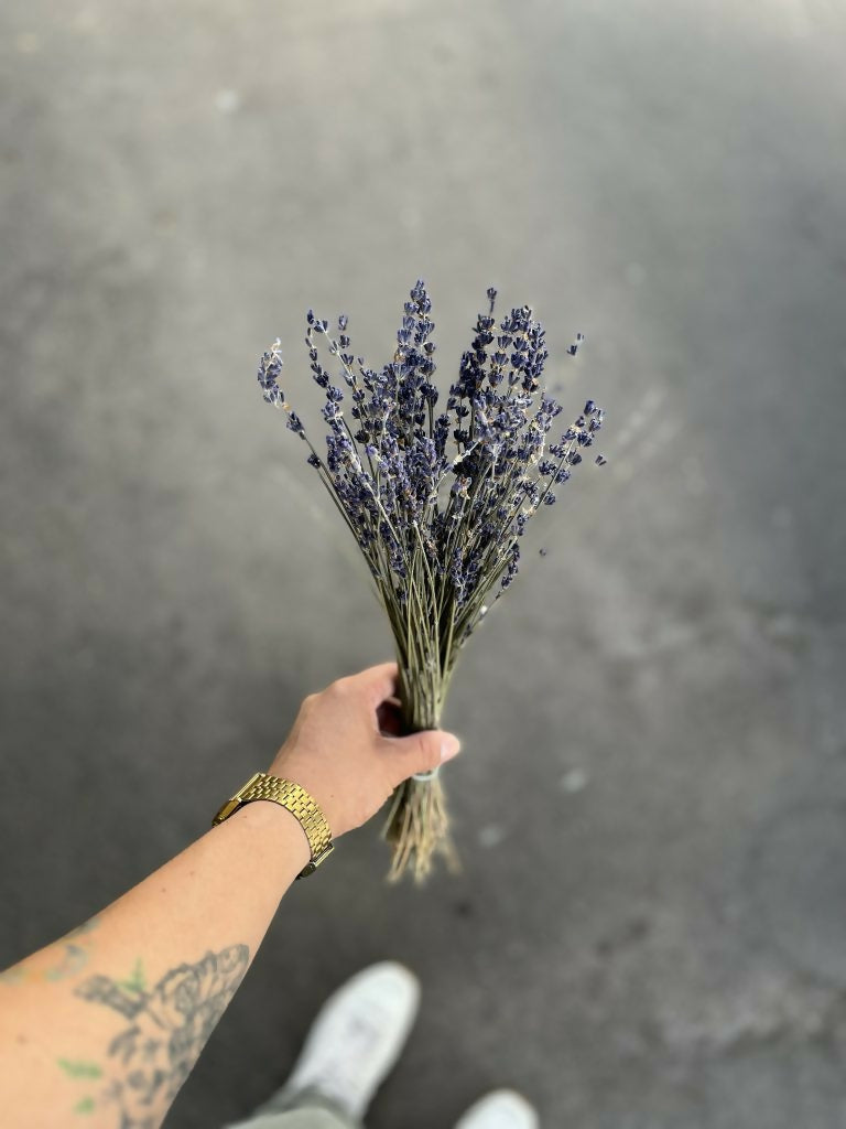 lavanda