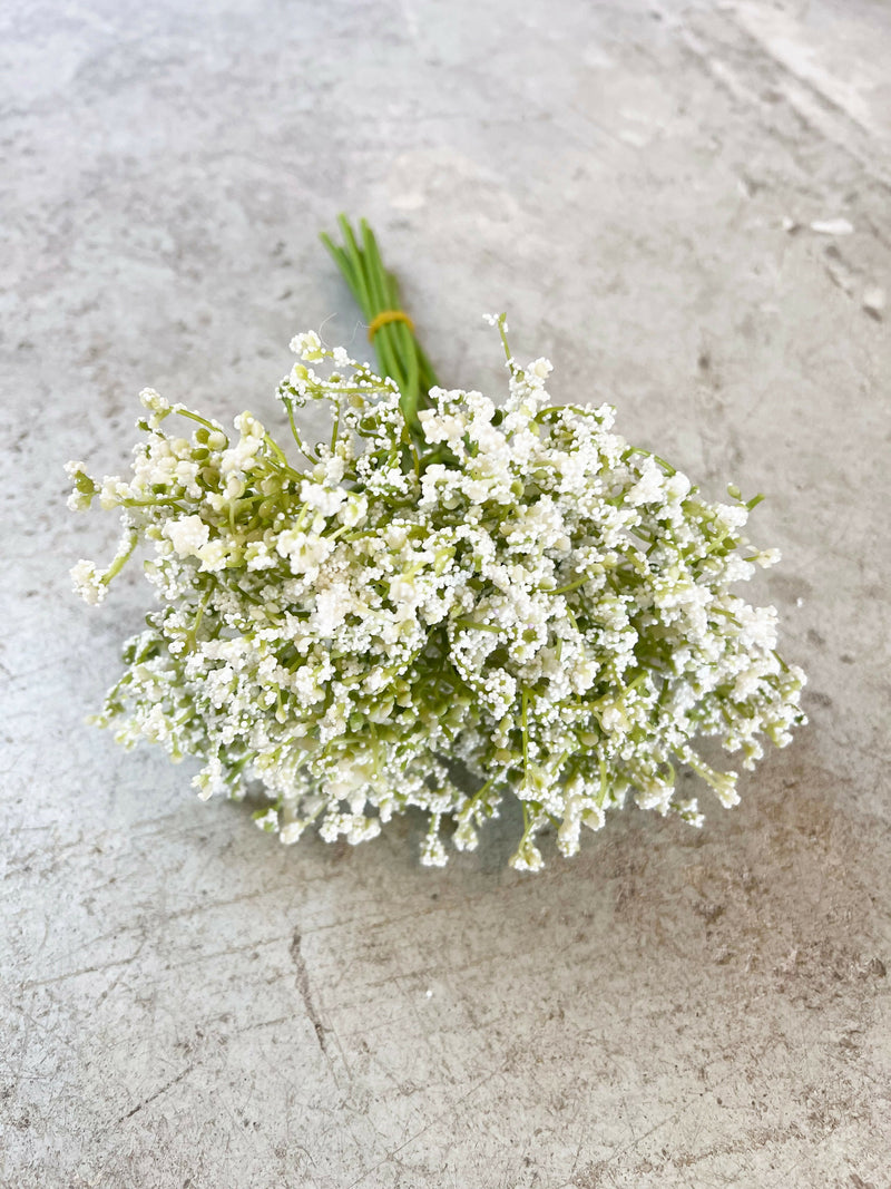 RAMO GYPSOPHILA