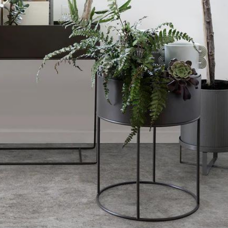 Plant Station Circular 40 | METAL