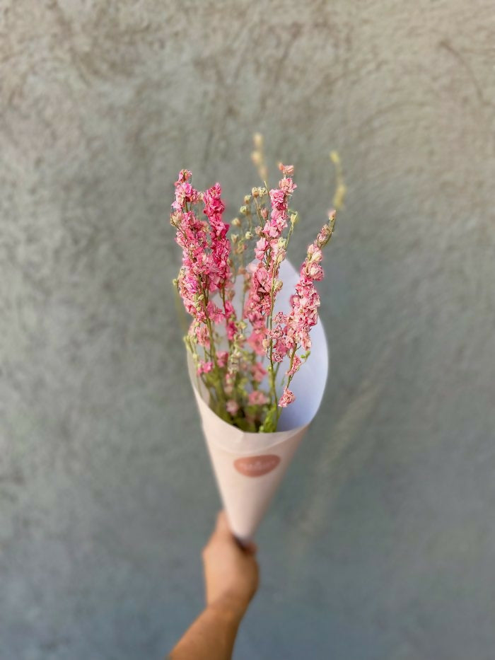 Delphinium Rosado